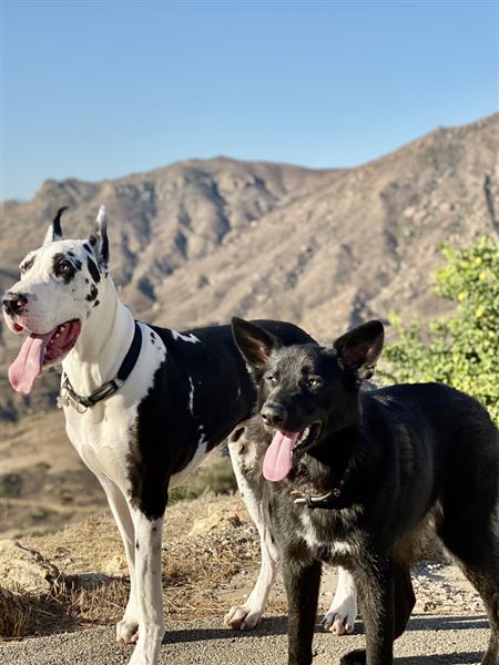 Malibu Acres (10/7/2021)