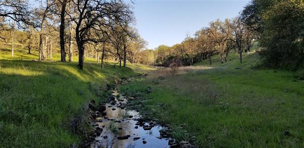 Payne's Creek Wetlands (3/1/2022 - Credits: Film Tehama)