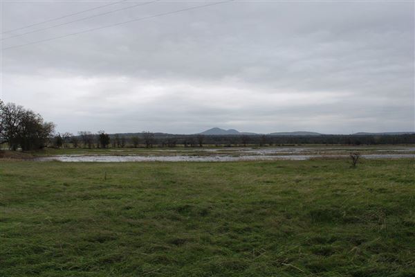 Payne's Creek Wetlands (3/1/2022 - Credits: Film Tehama)