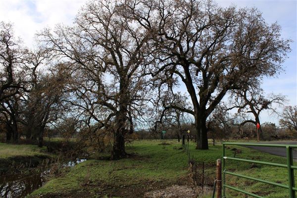 Sacramento River Bend (3/1/2022 - Credits: Film Tehama)