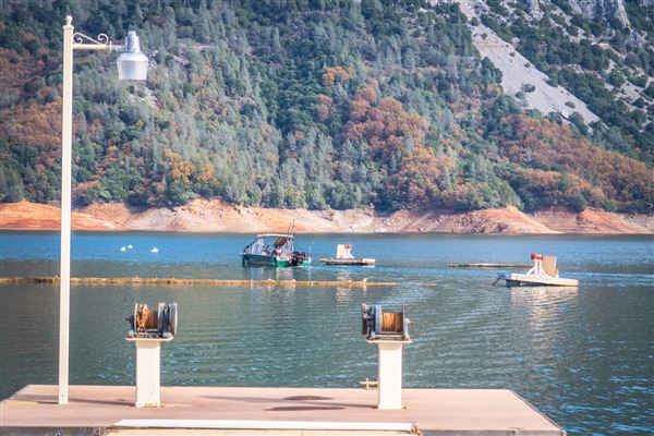 Holiday Harbor (8/9/2019)