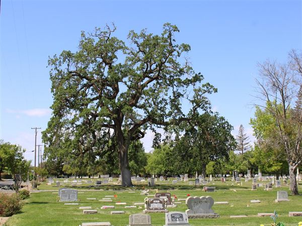 Sutter Cemetery (4/11/2022 - Credits: Yuba Sutter Film Commission)