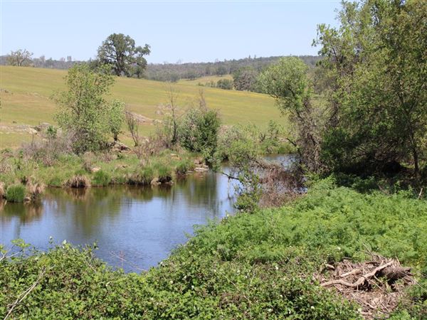 Waldo Junction (4/11/2022)