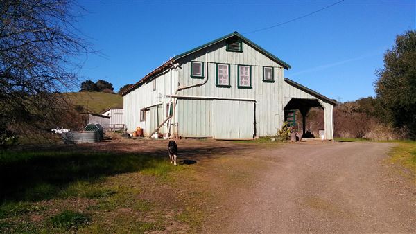 Santa Cruz Mountains/Santa Clara Valley Vineyard/Victorian Location - Gilroy, CA (7/29/2022 - Credits: Jason Goelz)