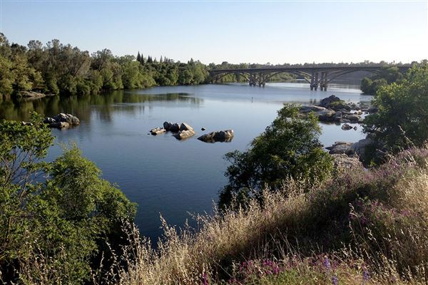 Old Folsom (4/20/2013)