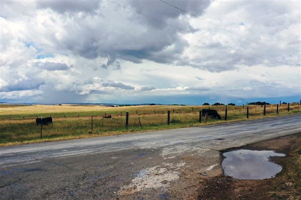 Various Rural Farms And Ranches (8/9/2022)