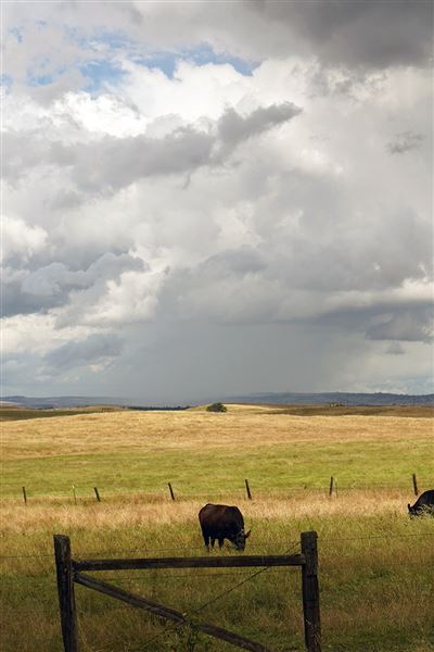 Various Rural Farms And Ranches (8/9/2022)