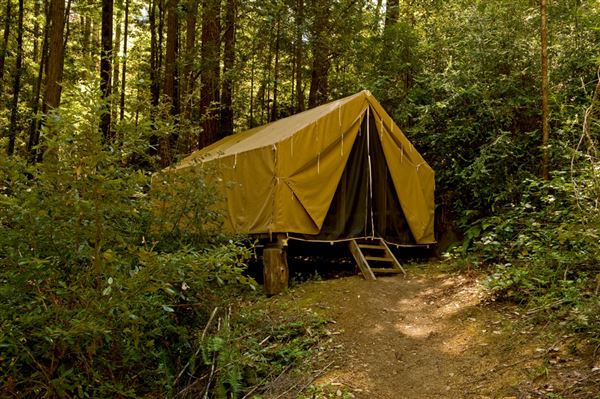 Mendocino Woodlands State Park (SP) (8/6/2012 - Credits: Brian Baer)