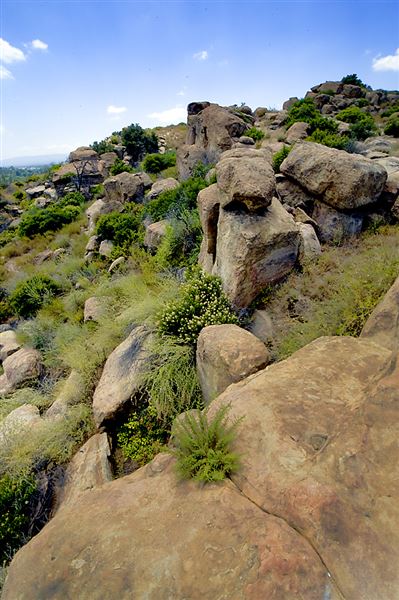 Santa Susana Pass State Historic Park (SHP) and former Spahn Movie Ranch (6/11/2010 - Credits: Brian Baer)