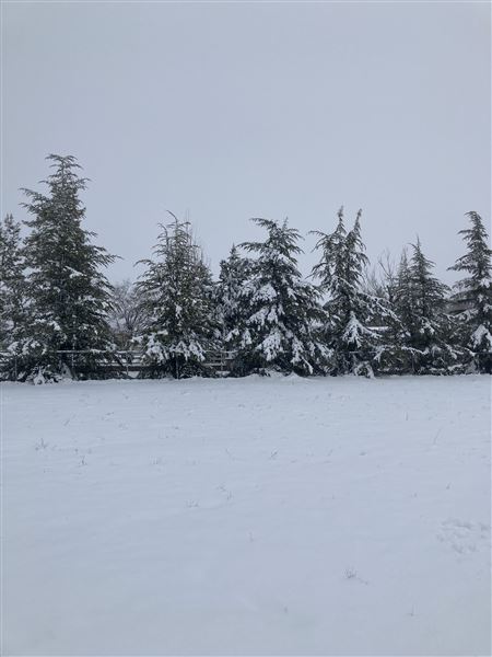 Red Skelton ranch (12/21/2021 - Credits: Bogdana Whitaker)