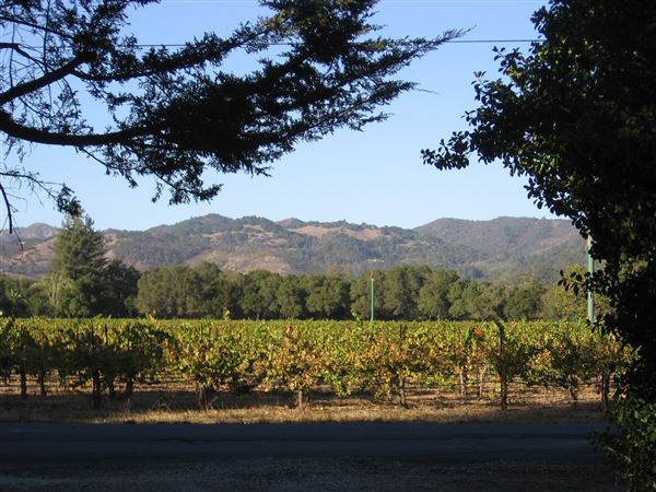 Hollyhock Country Ranch (1/1/2004 - Credits: Lucille Rella Clohessy)