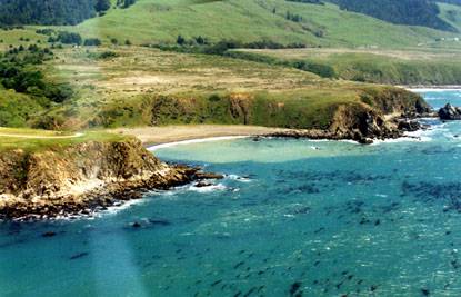 Sandy Cove Beach @ Fort Ross State Historic Park (SHP) (12/31/2003)