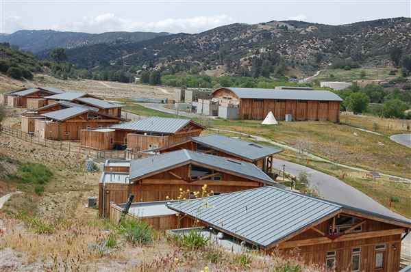 The Painted Turtle Camp (1/1/2018)