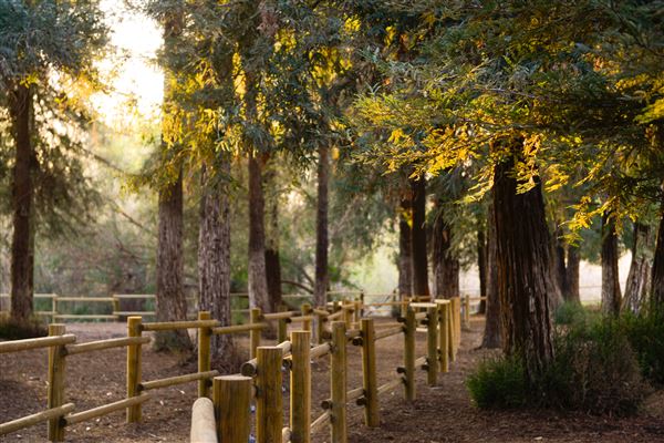 Carbon Canyon Regional Park (3/5/2018 - Credits: OC Parks)