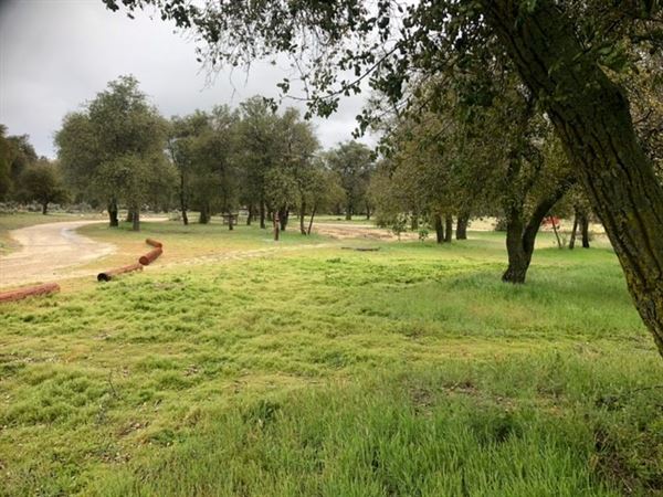 Red Thorne Ranch / The Barn Loft / Mini Petting Zoo (3/23/2023 - Credits: Amber Thorne)