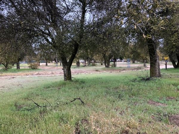 Red Thorne Ranch / The Barn Loft / Mini Petting Zoo (3/23/2023 - Credits: Amber Thorne)