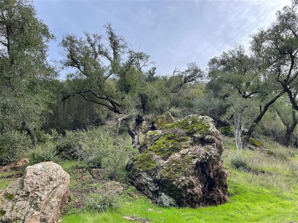 Canyon Ranch (4/3/2023 - Credits: Provided by Julie Hoffman)