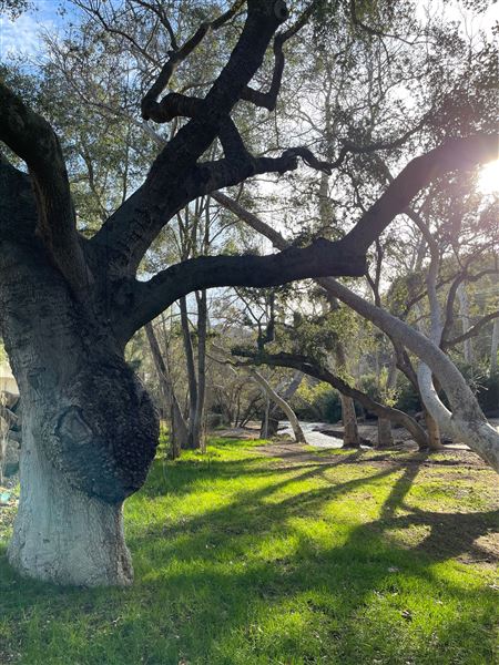 Canyon Ranch (4/3/2023 - Credits: Provided by Julie Hoffman)