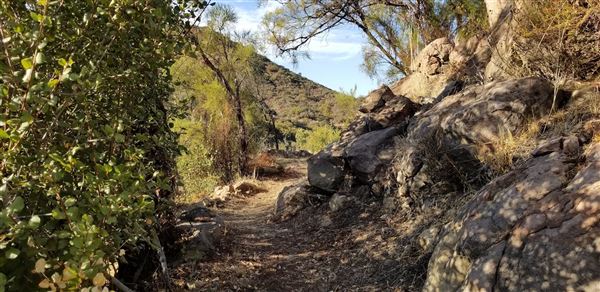 Canyon Ranch (4/3/2023 - Credits: Provided by Julie Hoffman)
