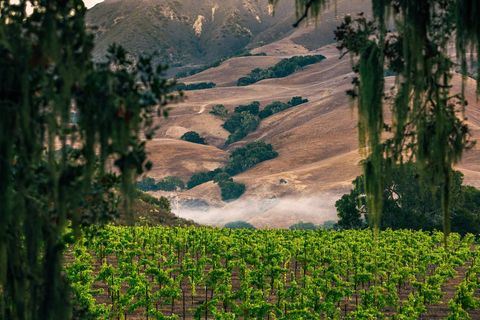 Santa Barbara Wine Country (6/16/2023 - Credits: George Rose)
