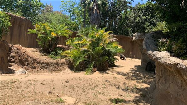 Los Angeles Zoo & Botanical Gardens - LA Zoo (6/25/2023 - Credits: Brandy Davis)