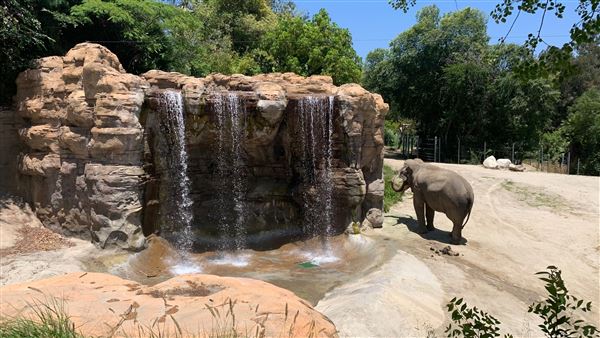 Los Angeles Zoo & Botanical Gardens - LA Zoo (6/25/2023 - Credits: Brandy Davis)