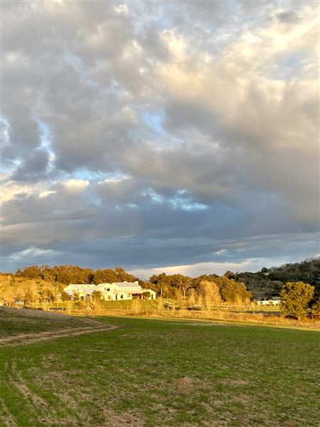 Red Cloud Ranch (1/29/2022 - Credits: Red Cloud Ranch)