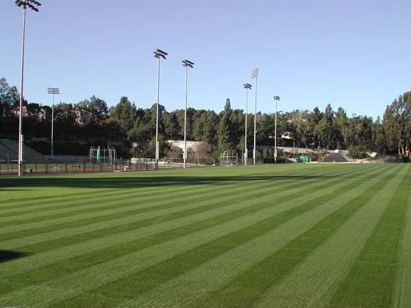 University of California, Los Angeles - UCLA (8/4/2023 - Credits: University of California, Los Angeles - UCLA)