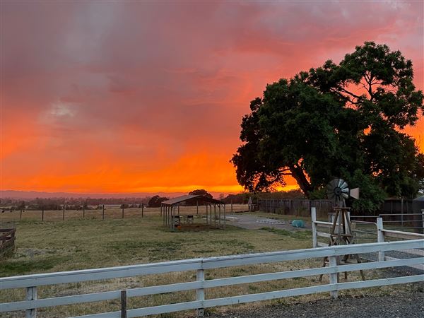 Petaluma Hill Farm (4/26/2023 - Credits: Heidi Umber)
