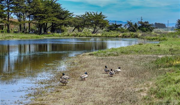 Parajo Dunes Resort Monterey Bay (5/3/2017 - Credits: Sarah Moody)