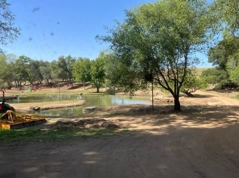 Olive Ranch (5/10/2022 - Credits: Placer County)