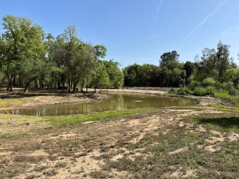 Olive Ranch (5/10/2022 - Credits: Placer County)