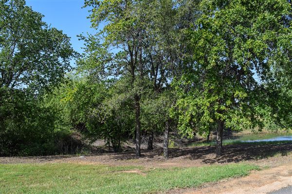 Olive Ranch (7/14/2022)