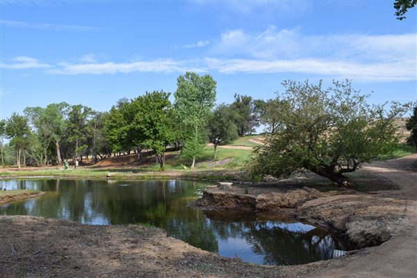 Olive Ranch (7/14/2022)