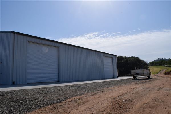 Olive Ranch (7/14/2022)