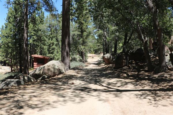 Camp Cedar Lake (1/18/2024 - Credits: Photo Courtesy of Big Bear Locations)