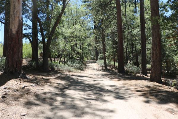 Camp Cedar Lake (1/18/2024 - Credits: Photo Courtesy of Big Bear Locations)