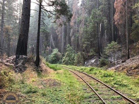 Yosemite Mountain Sugar Pine Railroad (1/25/2024 - Credits: Photo Courtesy of Yosemite Mountain Sugar Pine Railroad)