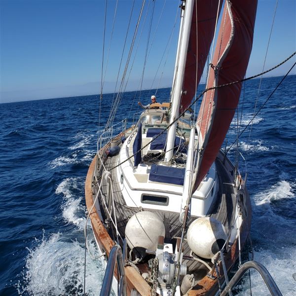 Sailboat Traditional Old World (11/15/2023 - Credits: Sean Quine)