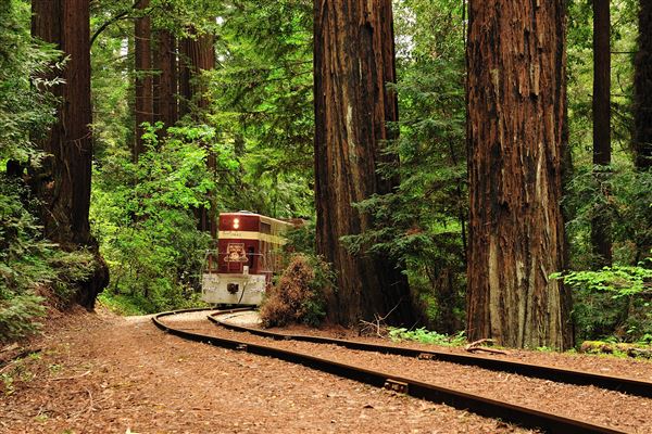 Roaring Camp Railroad - Roaring Camp Railroads (1/1/2013 - Credits: Jeff Olshan - 2013)