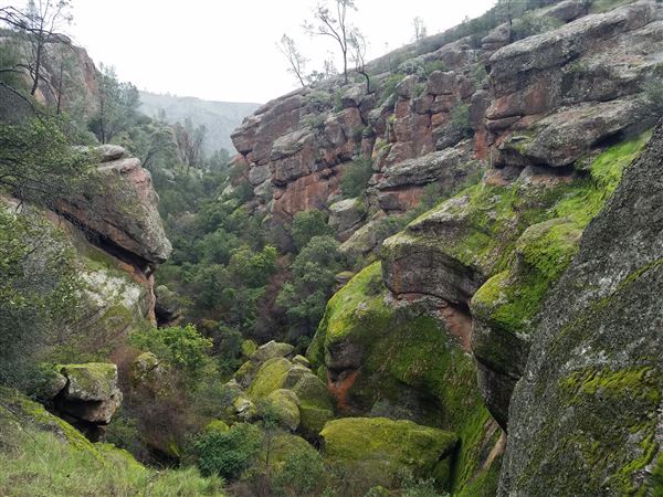 Pinnacles National Park - NPS - Bear Gulch Wet Winter (3/5/2024 - Credits: Chris Symons)