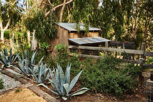 Elsewhere Topanga - THE BARN (1/24/2020 - Credits: Margaret Mentaberry)