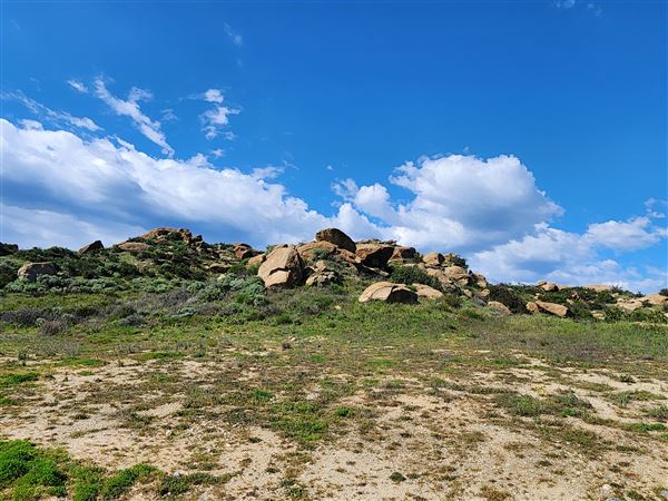 Rocky Peak Park (3/19/2024 - Credits: Rene Garcia)