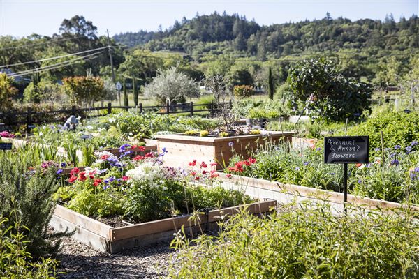 Quivira Vineyards (3/25/2024 - Credits: Photo Courtesy of Quivira Vineyards)