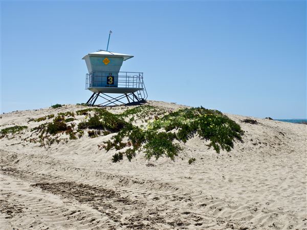 Ventura Harbor - Ventura Port District (4/29/2024)