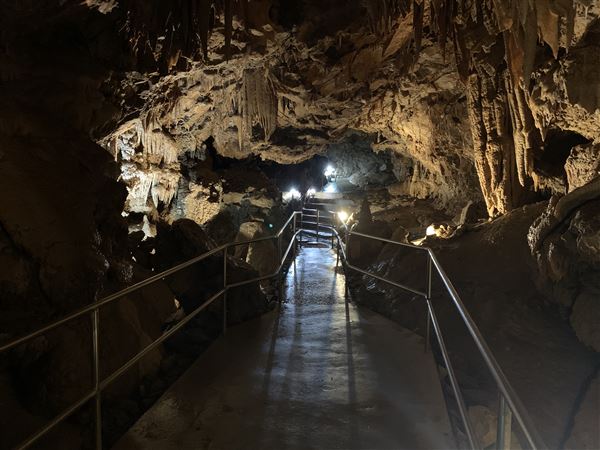 20359 Shasta Caverns Road (5/5/2024 - Credits: Brandy Davis)