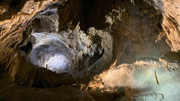 20359 Shasta Caverns Road (5/5/2024 - Credits: Brandy Davis)