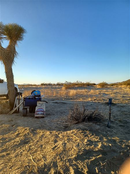 Desert Bliss (6/17/2023 - Credits: Ora Beth Nance)