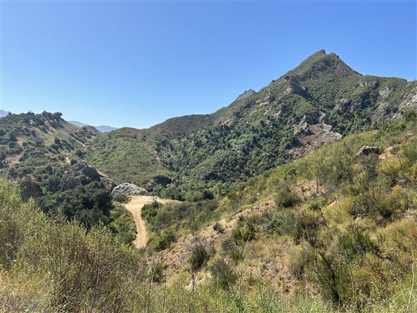 Malibu Creek State Park (SP) - Scenic Views from trail (6/26/2024 - Credits: Brandy Davis)