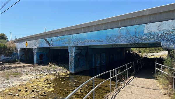 Leo Carrillo State Park and Beach (SP) - Leo Carrillo PCH Underpass (6/26/2024 - Credits: Brandy Davis)